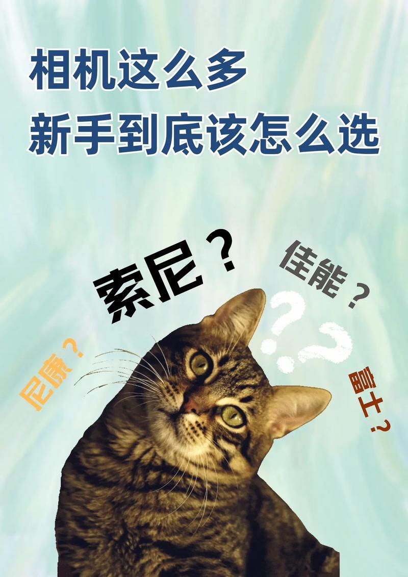 新手怎么选?什么情况值得花钱做?