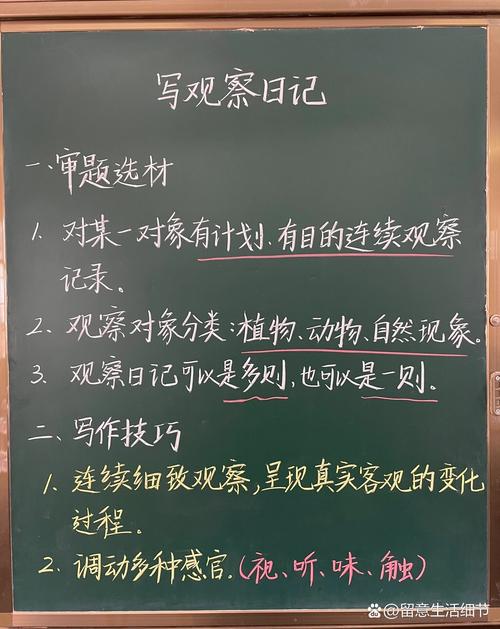 小学四年级语文观察类单元整体教学任务设计板书