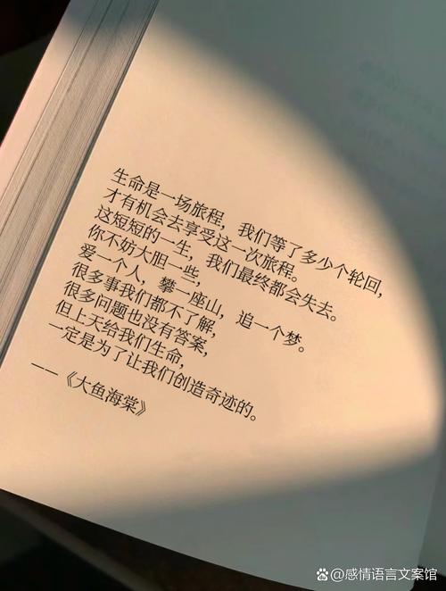 你追求的从来不是笔记,是“我在好好生活”的幻觉