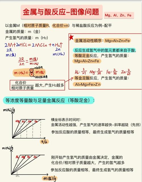 初中化学金属与酸反应模考经典例题图
