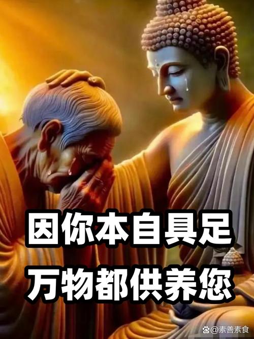 保养?不存在的,除非你供着它