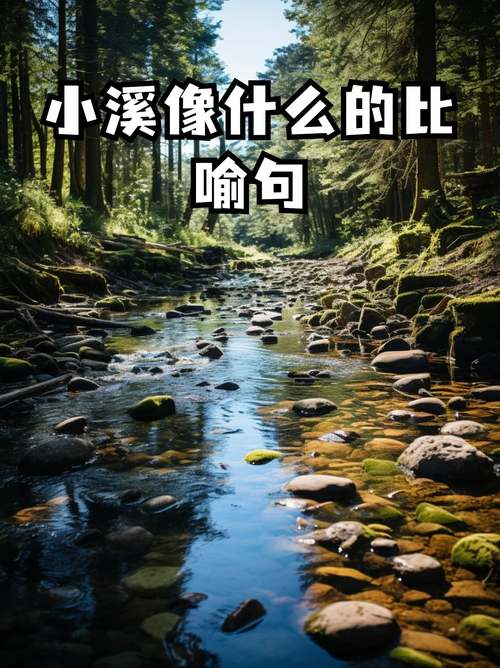 有时候，溪流更像一个隐喻