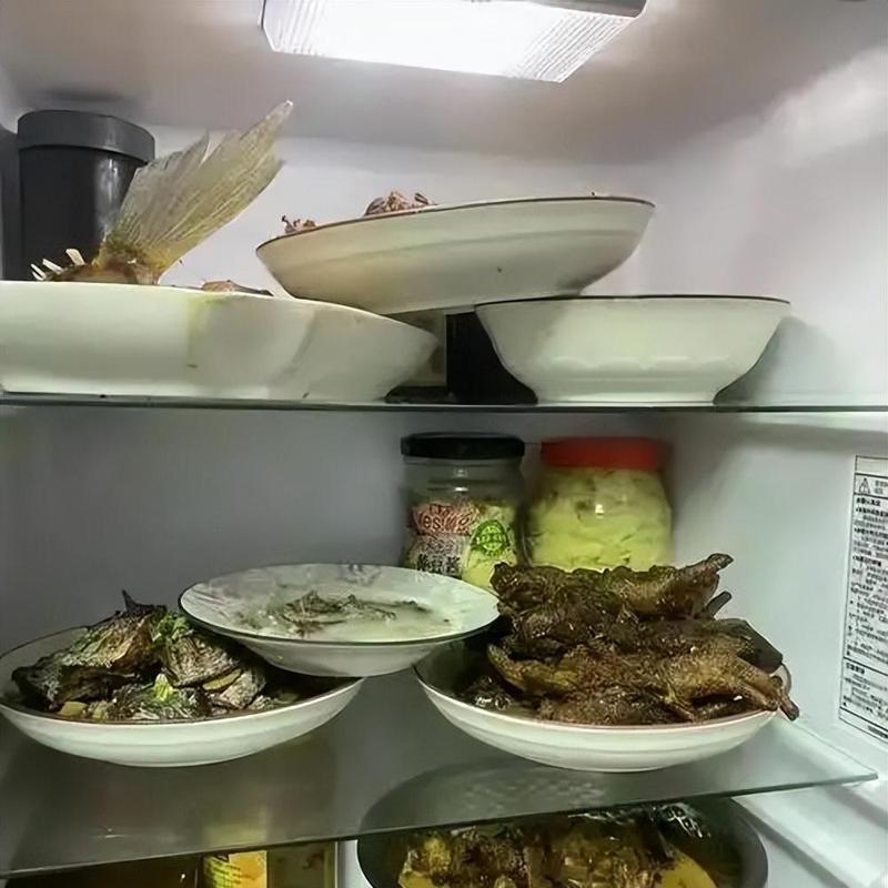 深夜打开冰箱选择宵夜食物