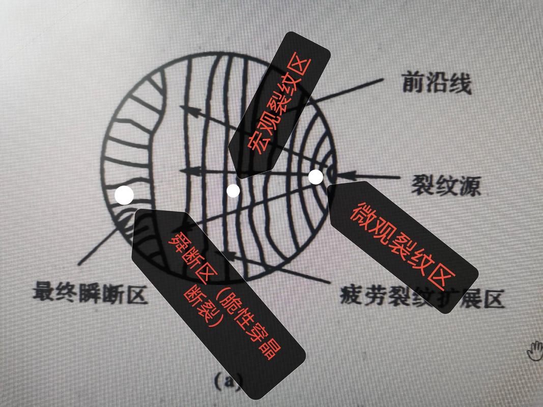 安全带金属扣件疲劳断裂放大图