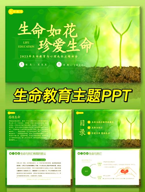 不用备课的十分钟,就是最好的生命教育