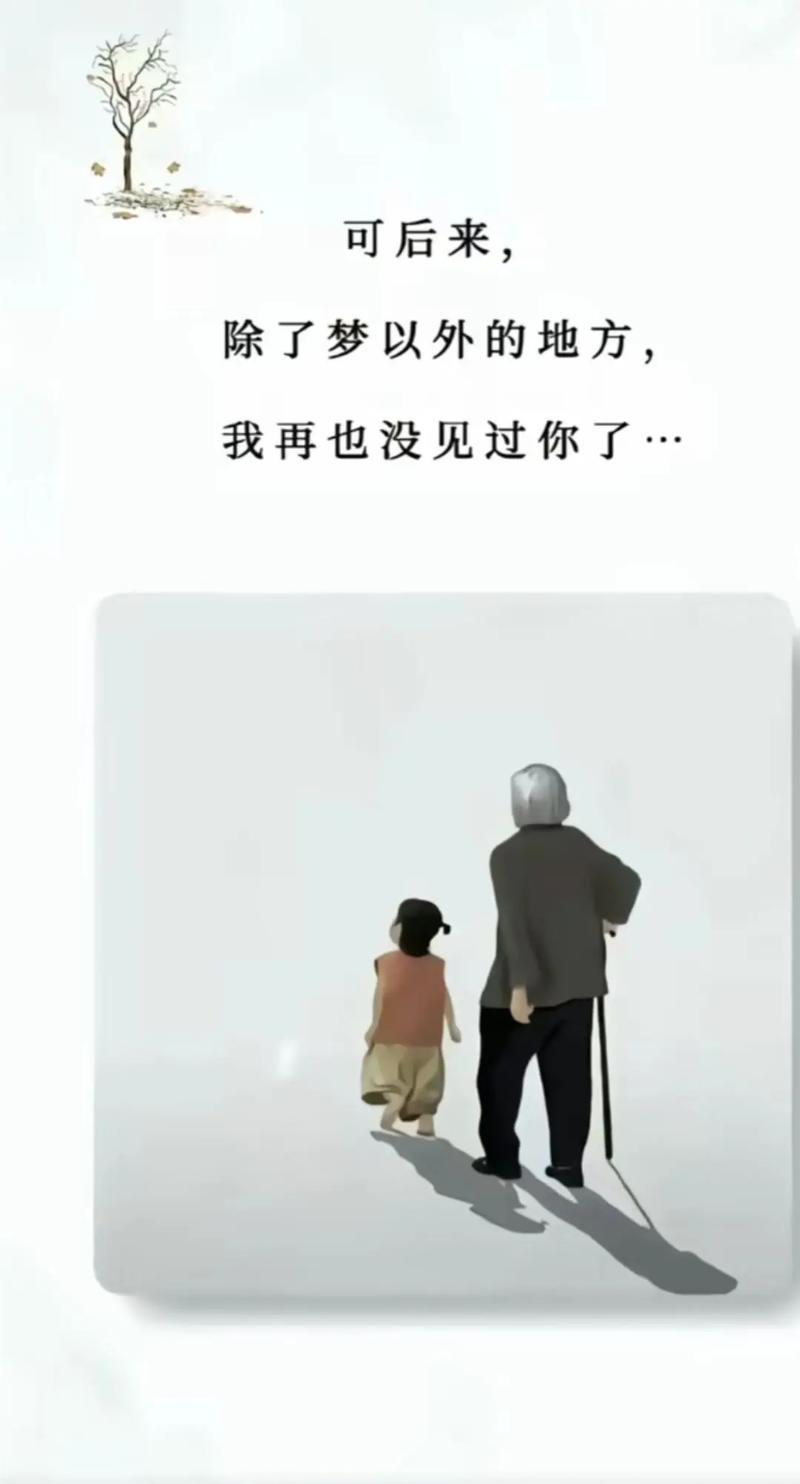 数据背后的情感密码:别让隔代亲只剩遗憾