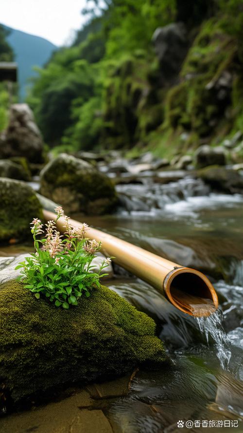 泉水，真的比自来水更配茶吗？——一个寻泉人的偏执与感悟-因为所以