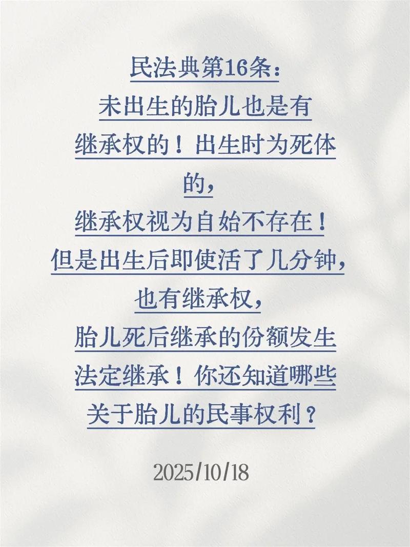 民法典第十六条胎儿继承权条款实拍