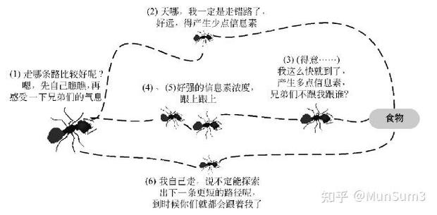生物启发算法：大自然藏了几十亿年的解题密码