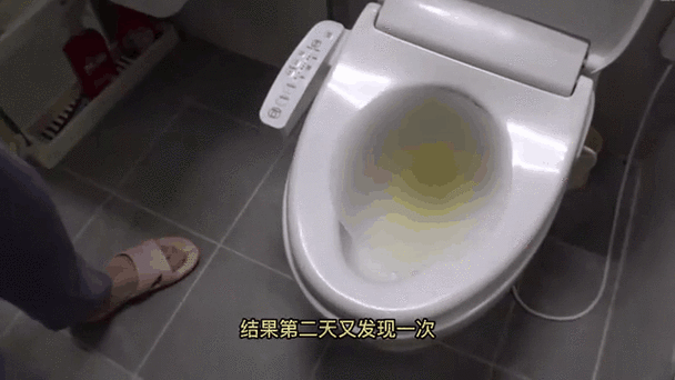 真碰到乱尿,你第一反应别错