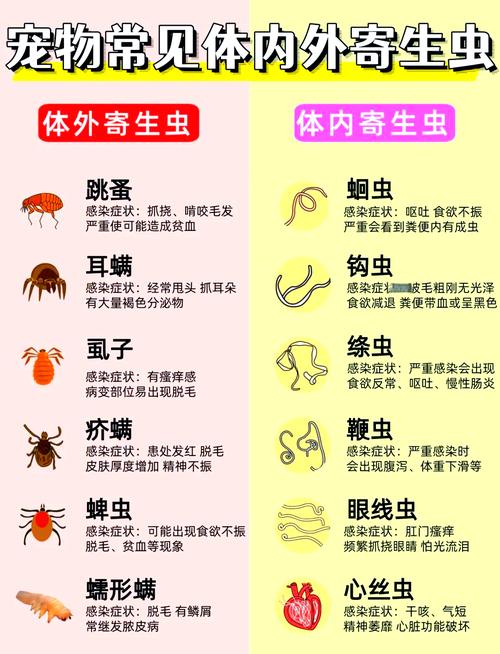 宠物体内体外常见寄生虫对照表