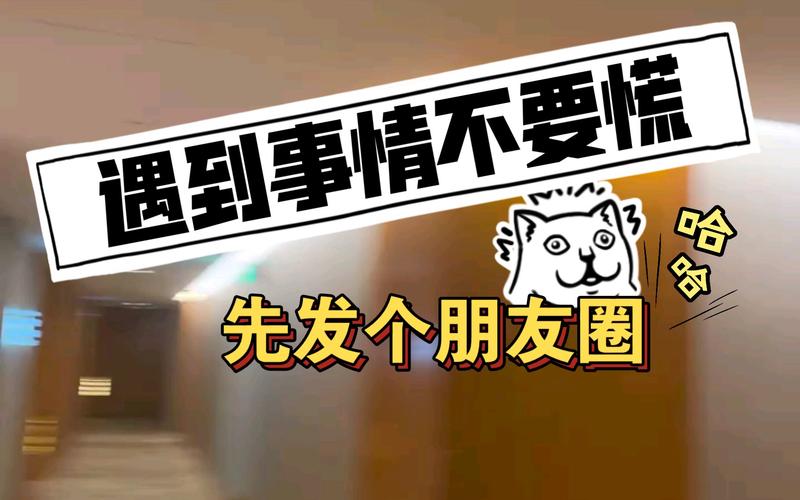 真碰到事了，别慌，先做这几件事