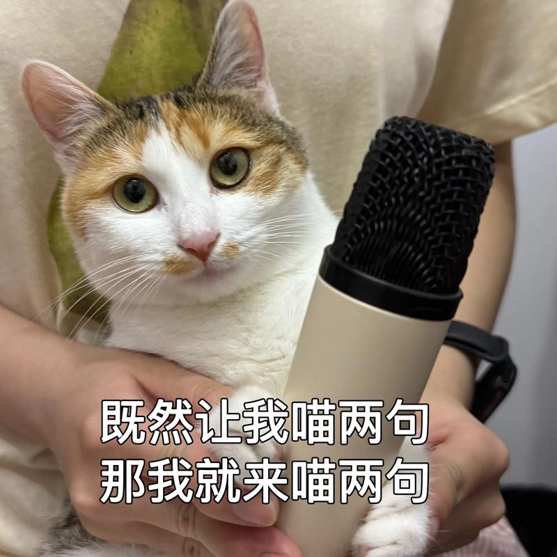 其他萌宠的迷惑日常,听完你就不气了
