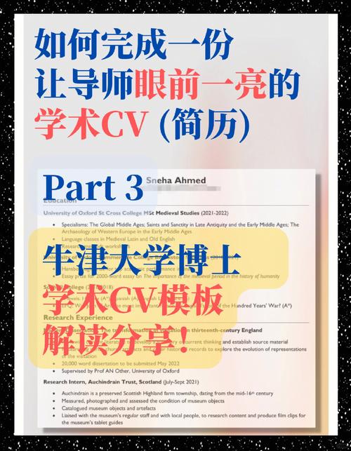学术CV与职业CV对比模板
