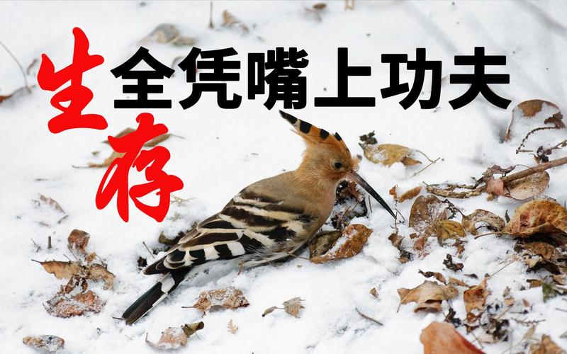 三、售后不是嘴上功夫