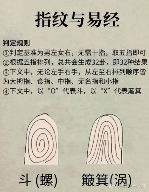 祖辈手掌握力与指尖灵敏度差异示意图