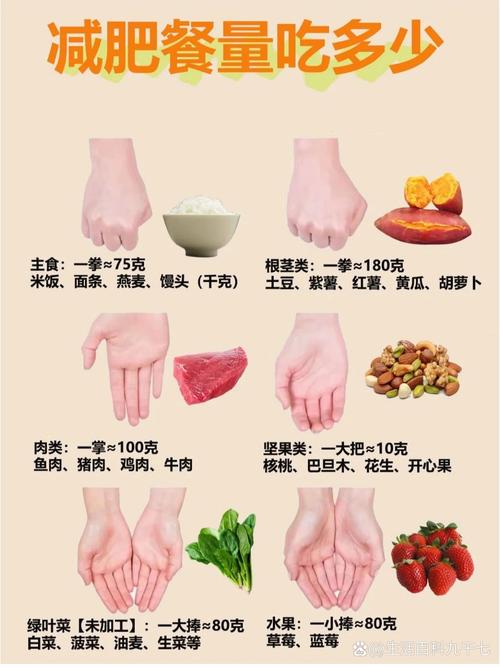 减肥手量食物分量示意图