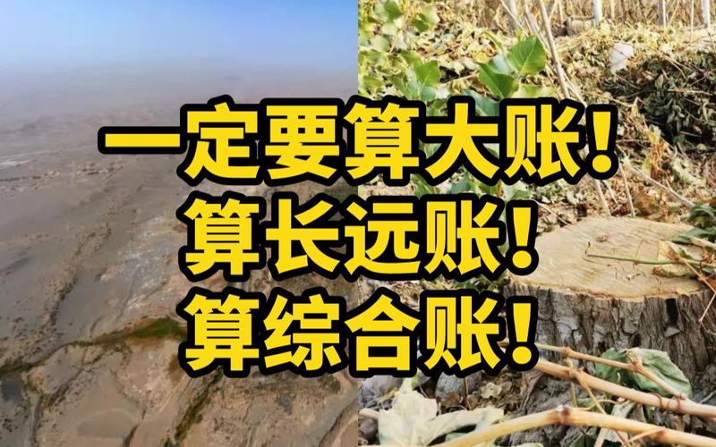 选的时候别算大账，算小账