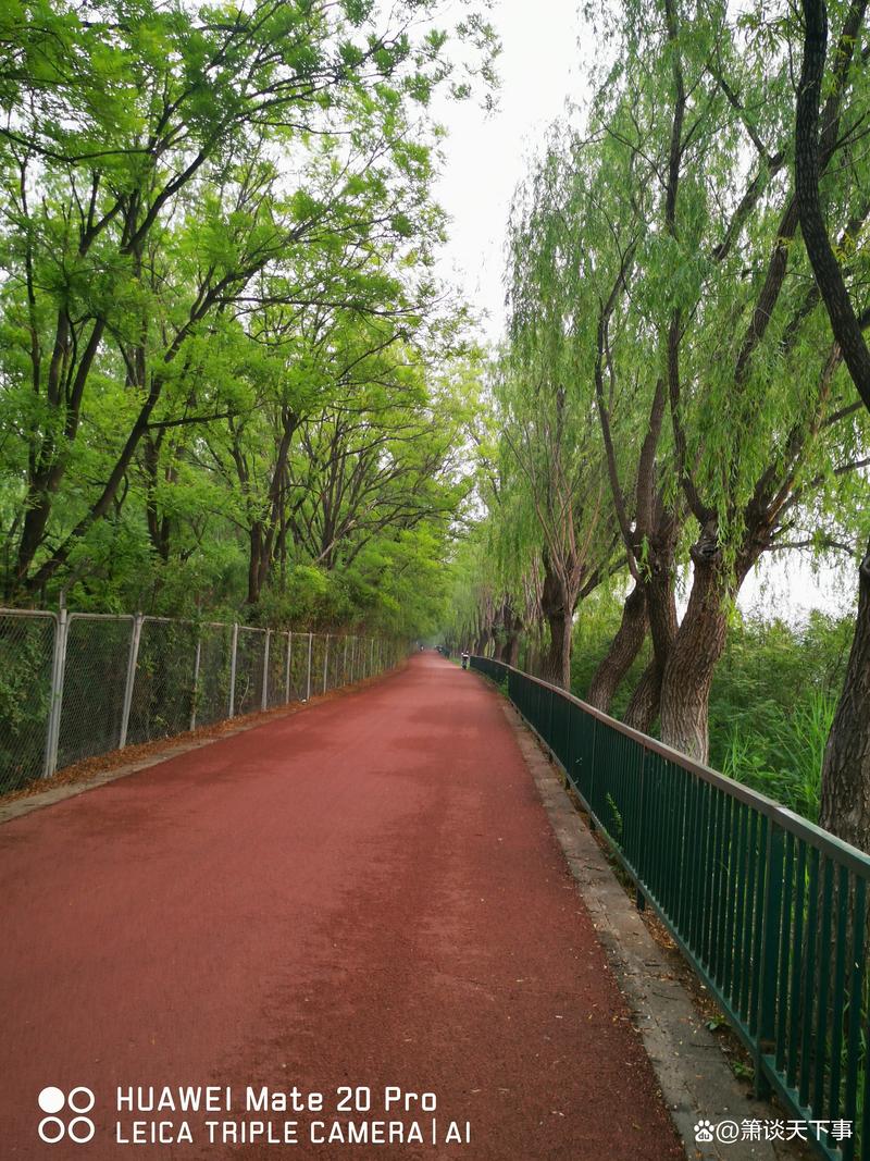 昆明翠湖晨跑者