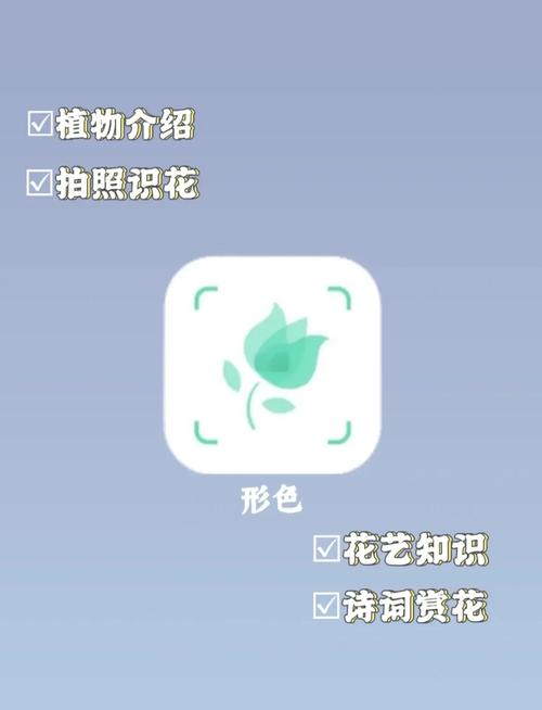 智能手机植物识别App界面 形色