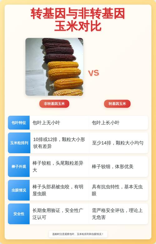 转基因与基因编辑作物区别示意图