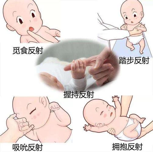 新生儿常见原始反射行为医学示意图