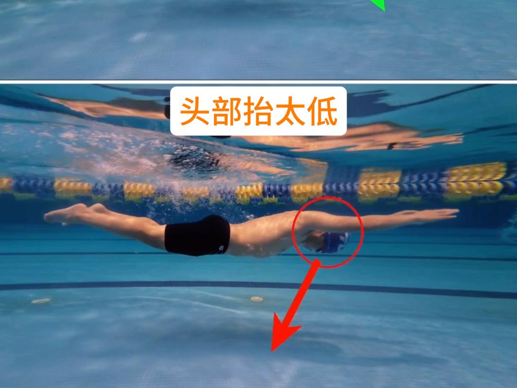 自由泳换气头部错误对比图