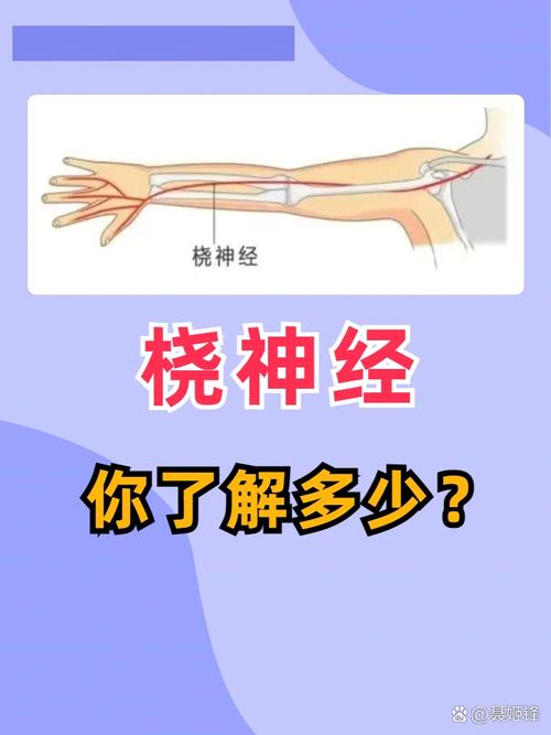 它连的不是手机,是整条线的神经