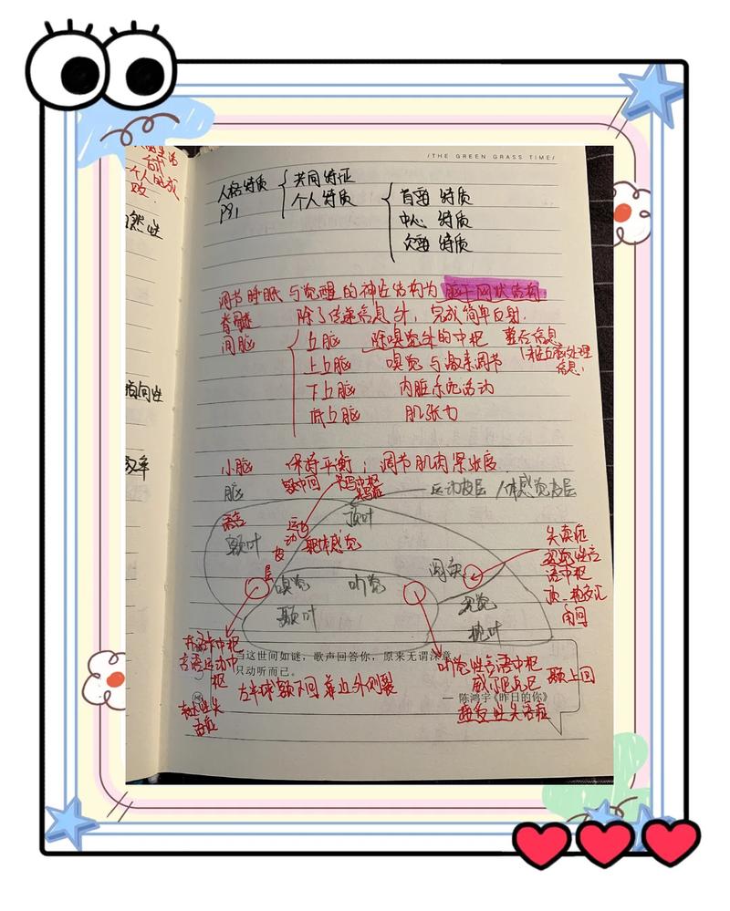 心理咨询师案头堆满专业书籍和笔记