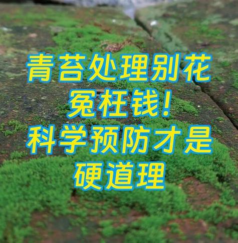 别被忽悠换总成，这俩情况完全没必要花冤枉钱