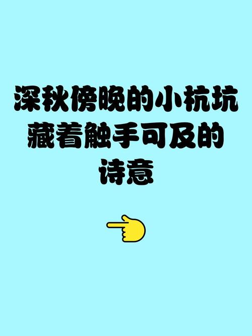 新趋势不少，可藏的坑也更深