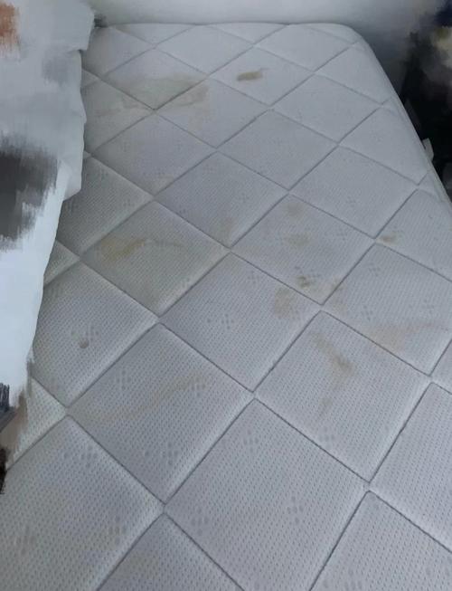阳台隔着落地窗玻璃晒的床垫表面浮着薄尘