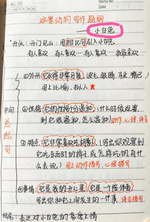 为什么涂出来的提纲比抄的有用