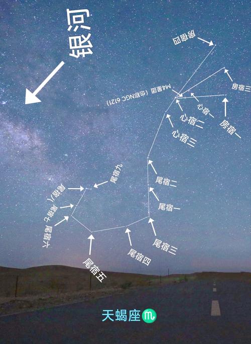 月亮落在天蝎座的星盘特征分析