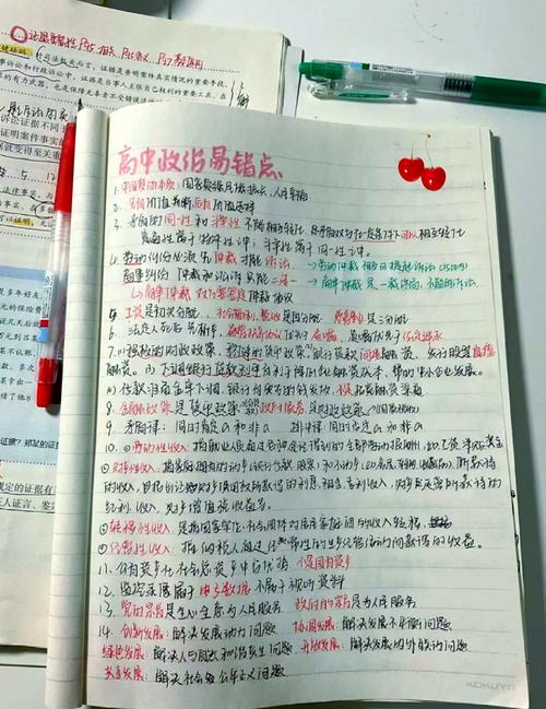 高中政治错题拆解思考步骤手写笔记