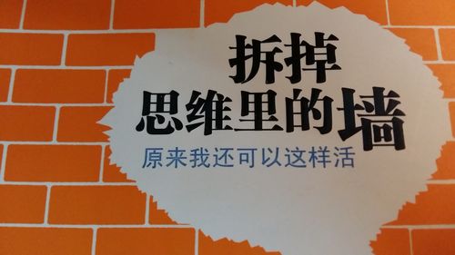 每个从业者都要拆自己脑子里的界
