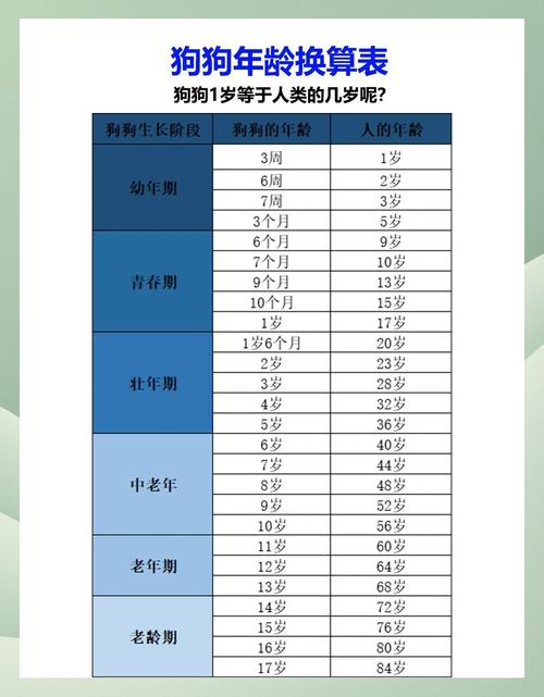兽医临床幼犬社会化关键期时间参考表