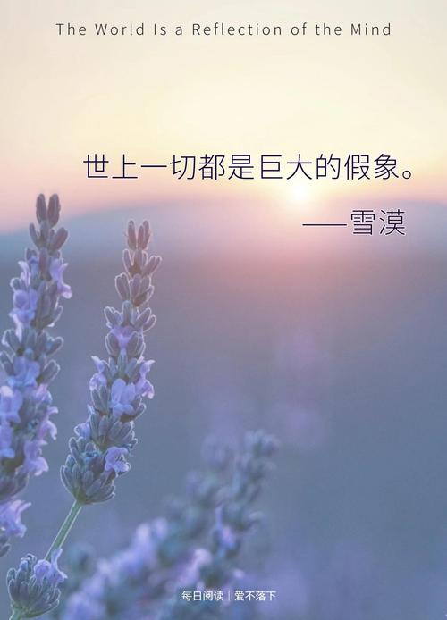 当天：你以为的完美全是幻象