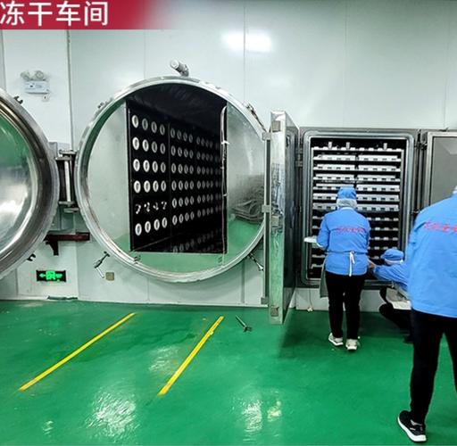 制药厂真空冷冻干燥机生产车间