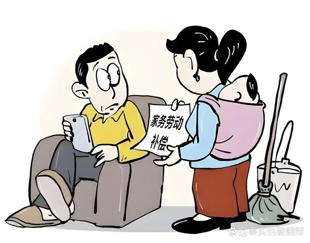 离婚家务劳动补偿法律依据漫画