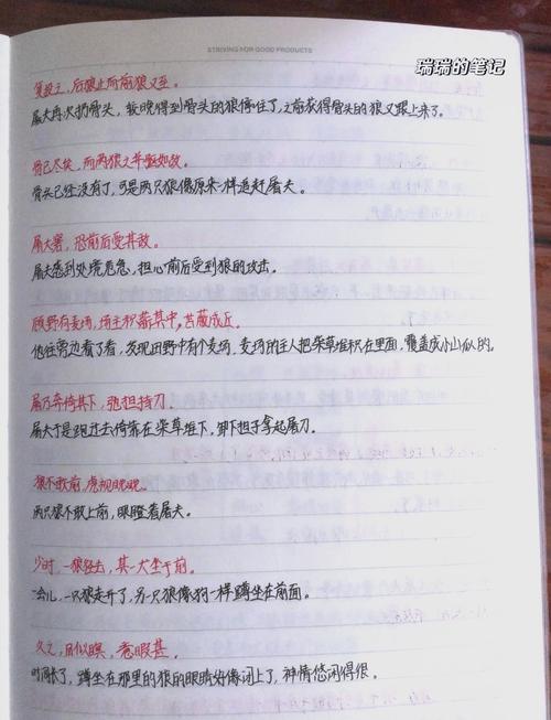 初中生语文课堂手写预习提纲实拍