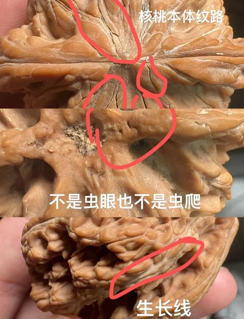 买核桃踩过的坑，每一个都扎心