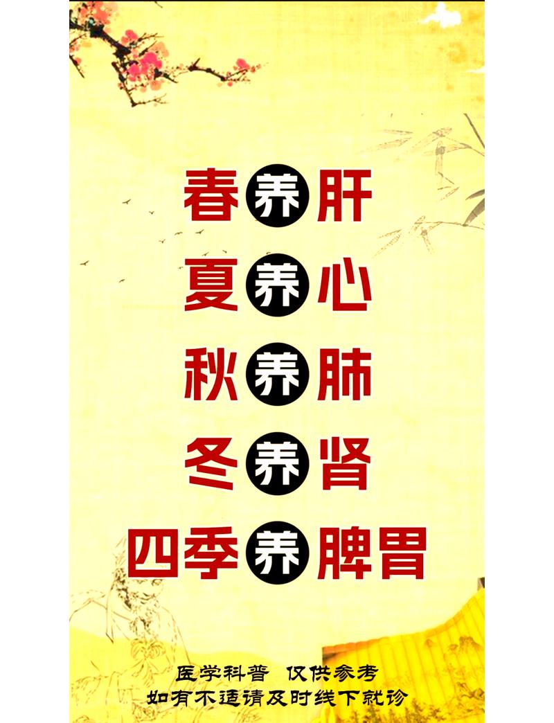 顺着季节搭,比常规补养更舒服