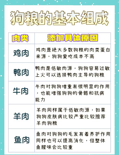 狗狗定时定量喂食 防挑食方法