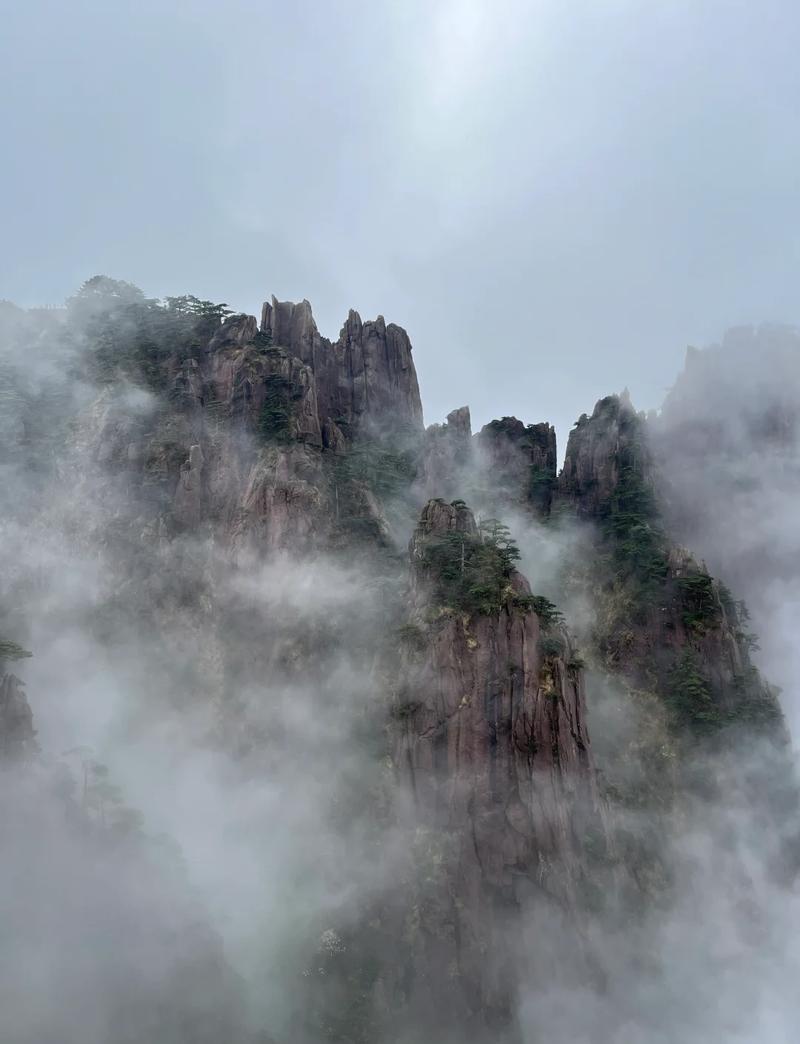 安徽黄山雨后迎客松实景