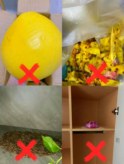 厨房台面上堆放的发霉柚子皮和菠萝皮
