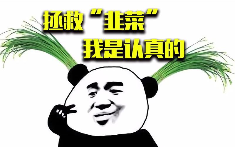 别把用户当韭菜，不然死得很快