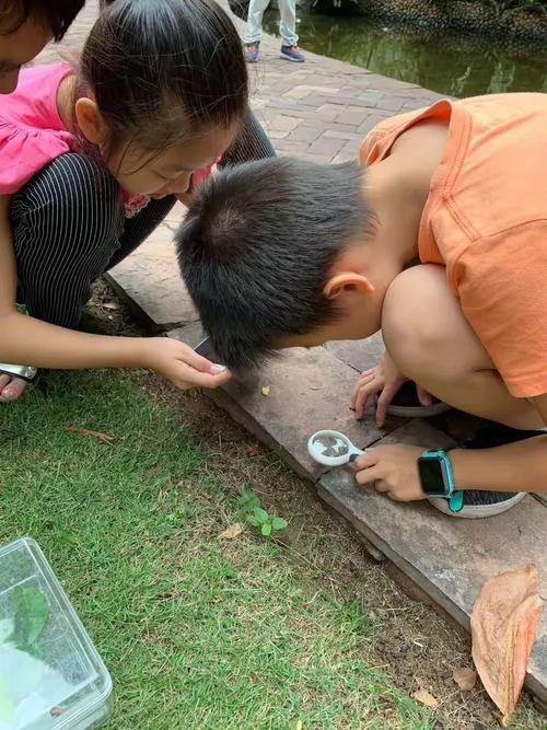 小学走廊蹲地观察蚂蚁的学生