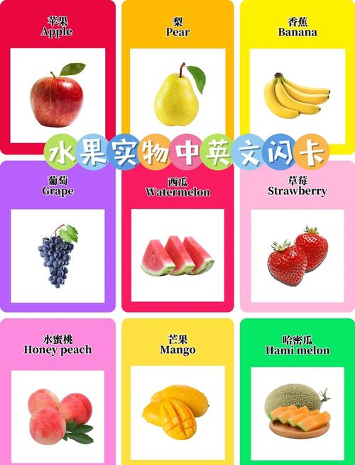 双语宝宝学习两种语言卡片