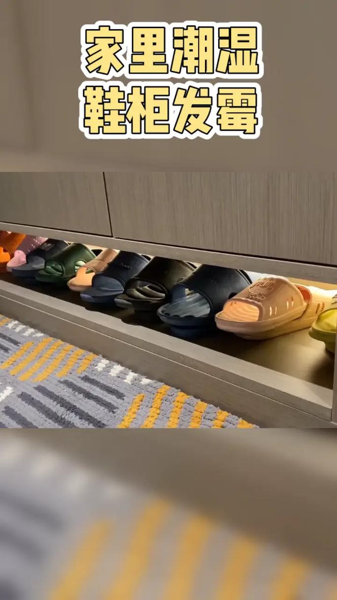 鞋柜内部鞋盒发霉长毛的真实场景